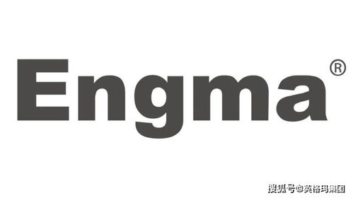 英格瑪集團軟件外包服務榮獲2022新旗獎創新競賽年度產品大獎