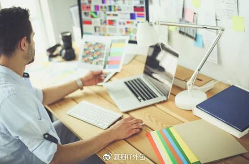 上海優質IT外包與軟件服務公司概覽