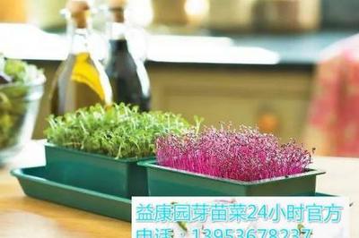 多媒體技術(shù)研發(fā) 驅(qū)動數(shù)字時(shí)代創(chuàng)新與應(yīng)用的新引擎